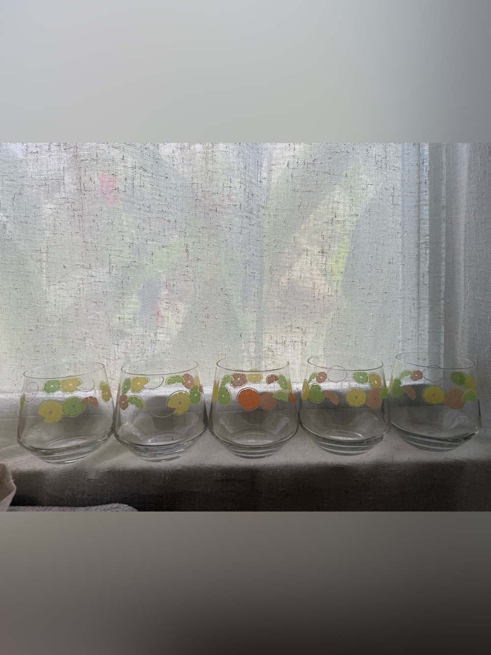Citrus Motif Stemless Glasses - Set of 5